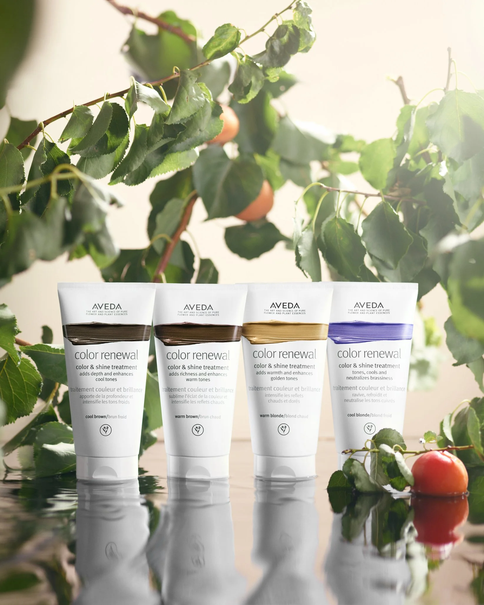 Aveda Color Treatment - image 3