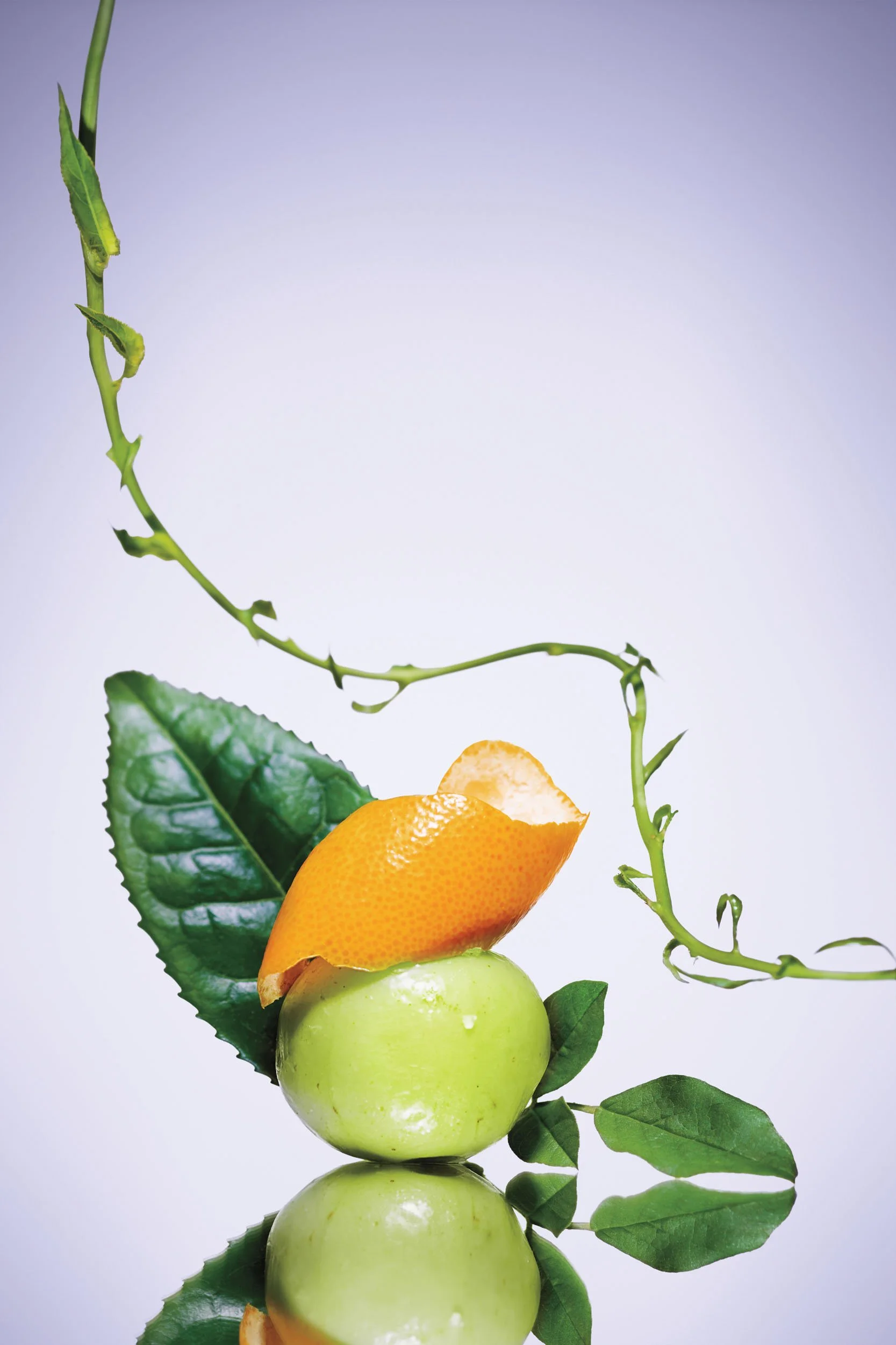 Aveda Invati - image 5