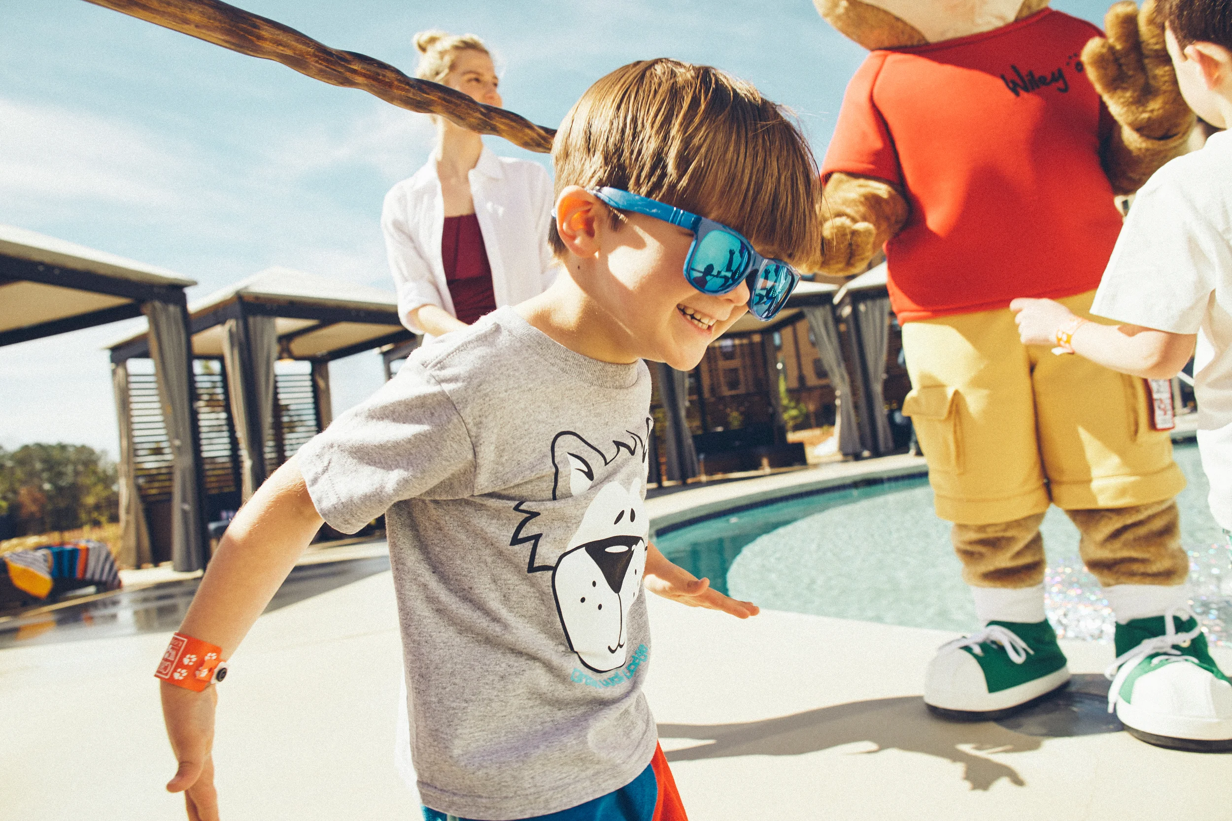 Great Wolf Lodge - image 4