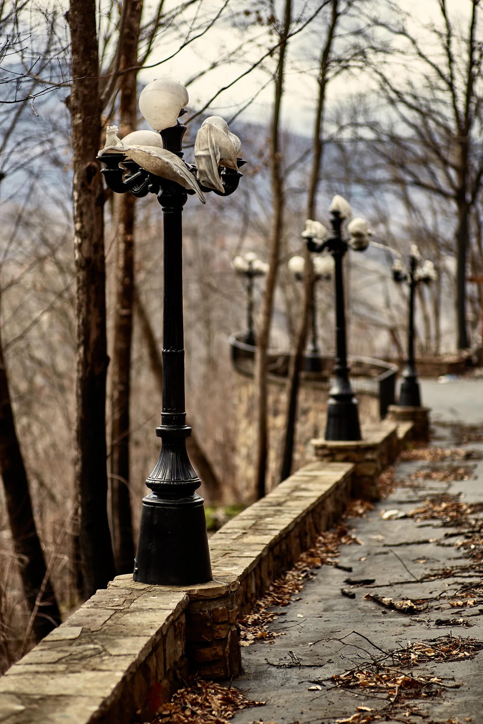 Gun and Garden - Gatlinberg - image 7