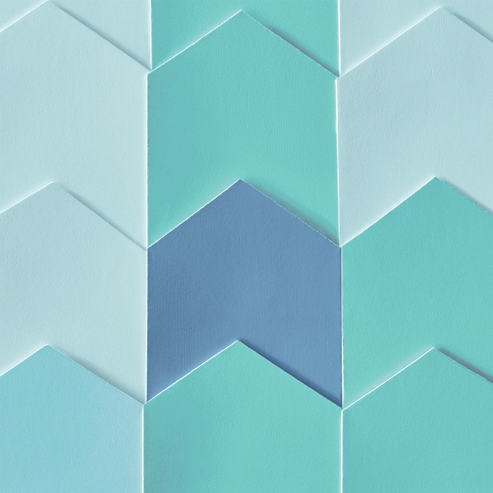 HGSW - image 6