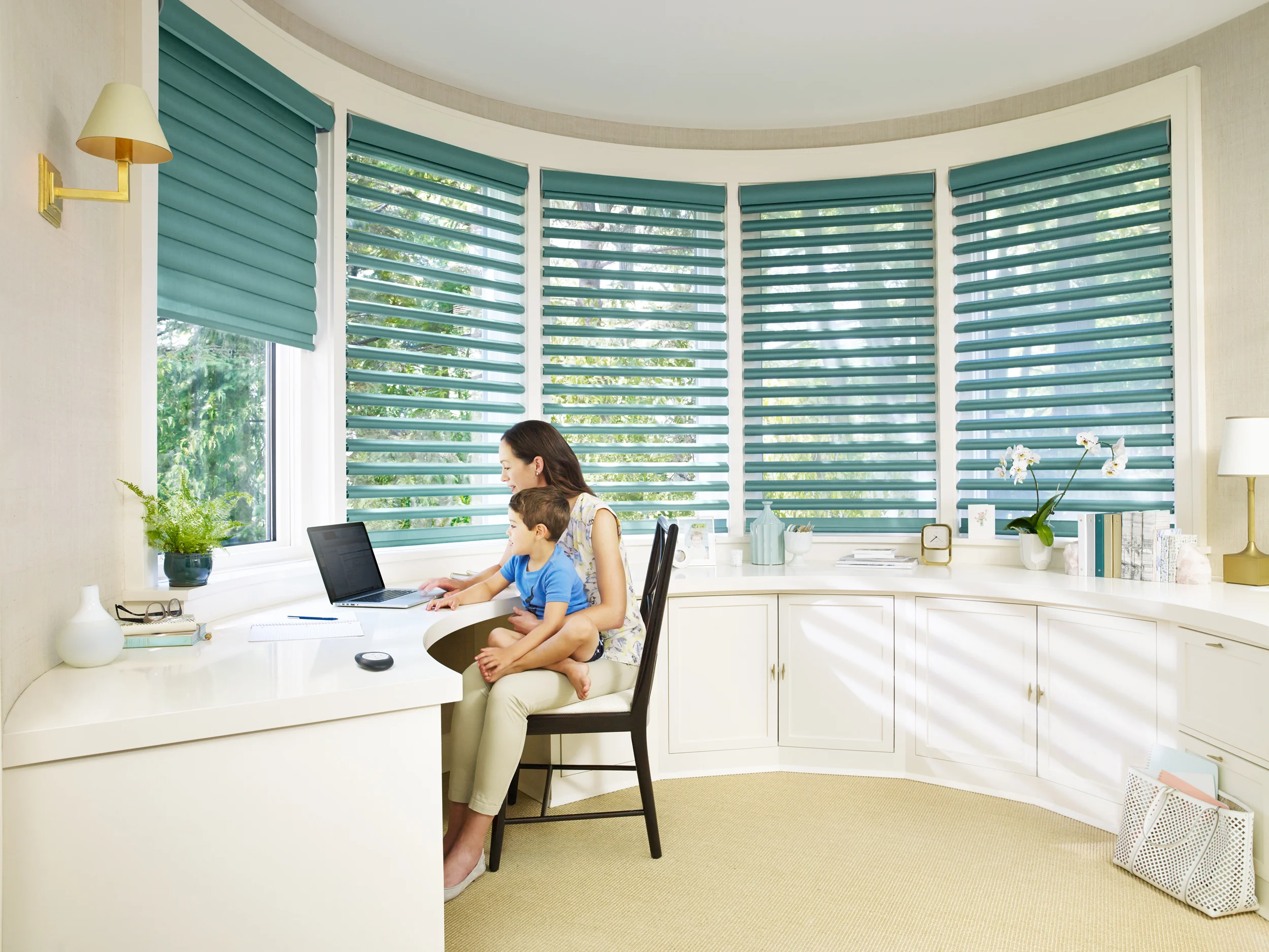 Hunter Douglas - image 6