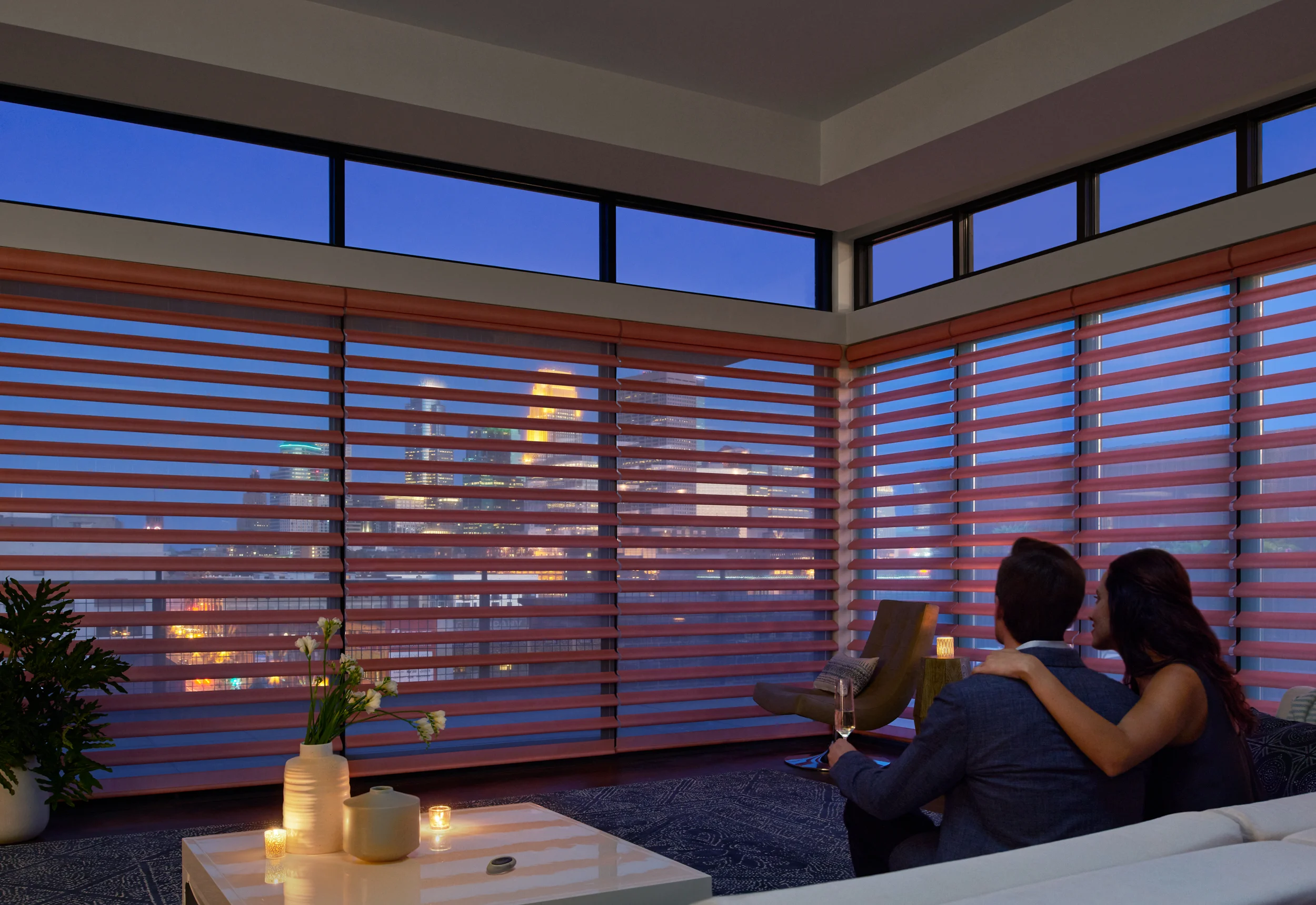 Hunter Douglas - image 7