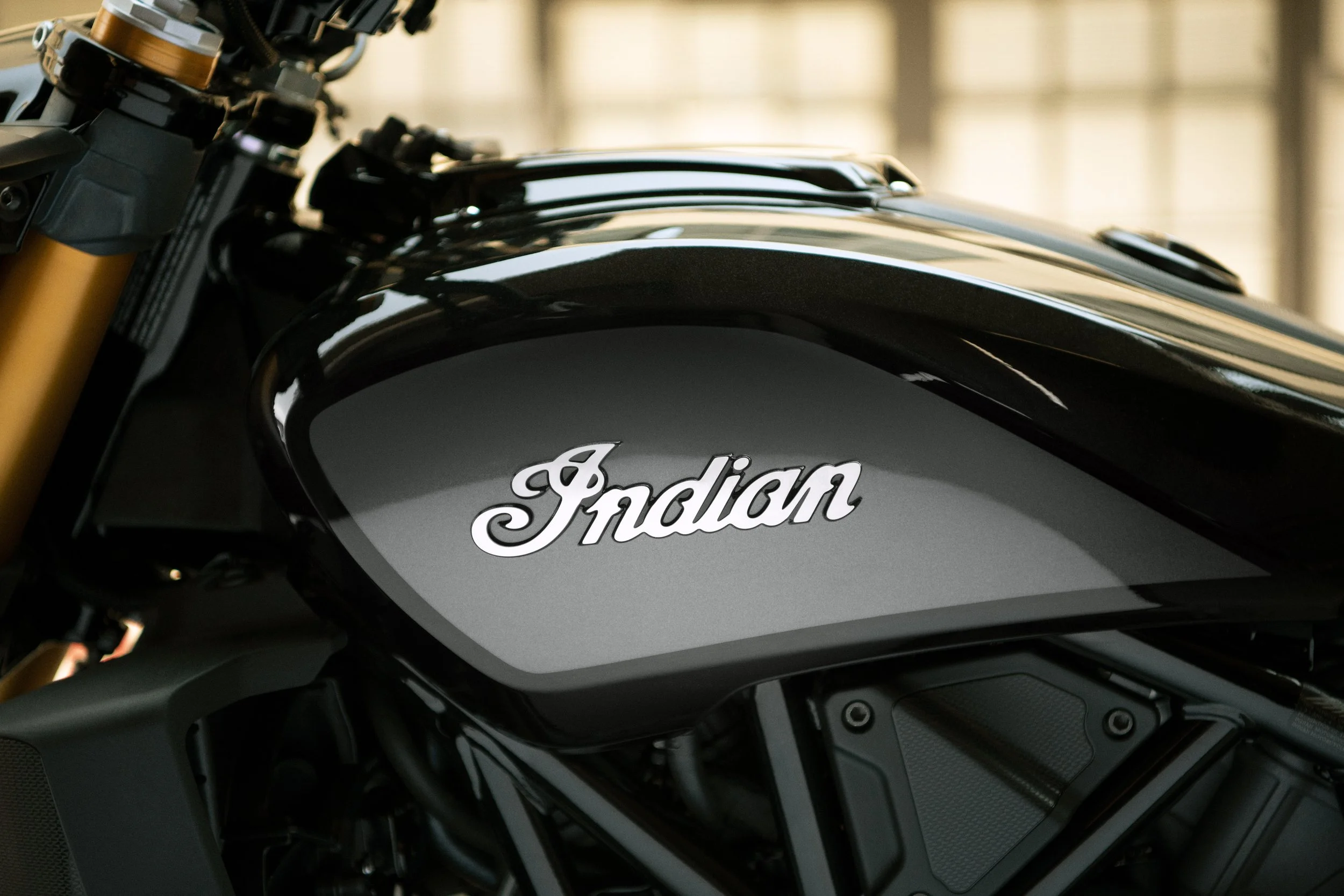 Indian Motorcycles - image 10