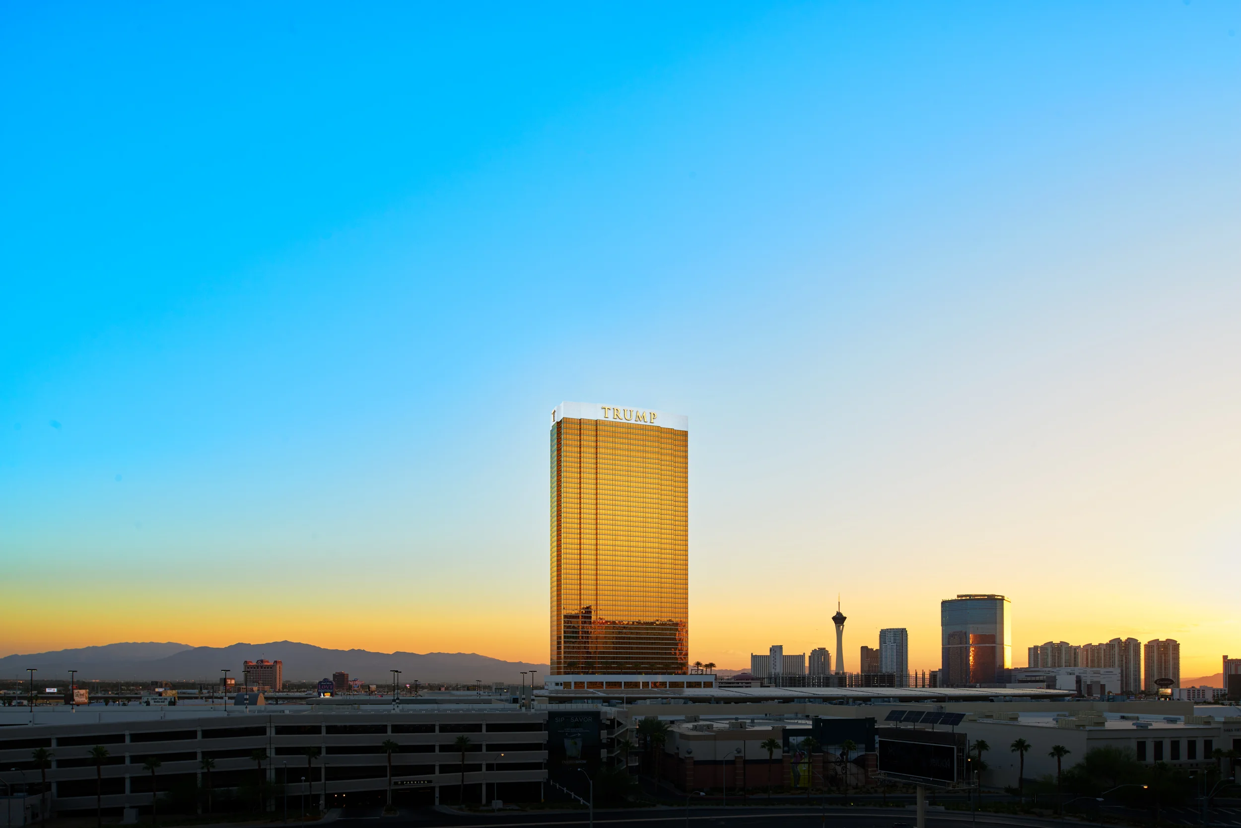 Las Vegas CVA - image 5