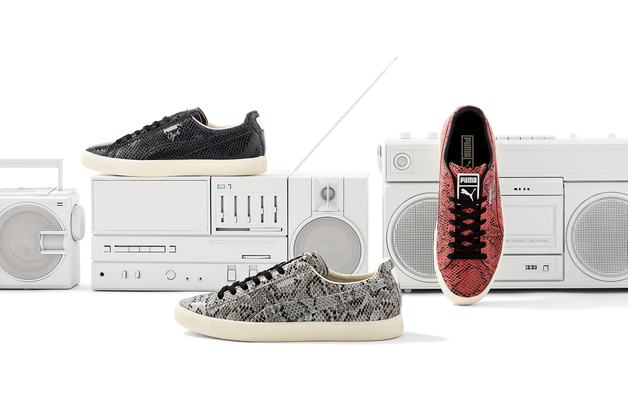 Puma - image 3