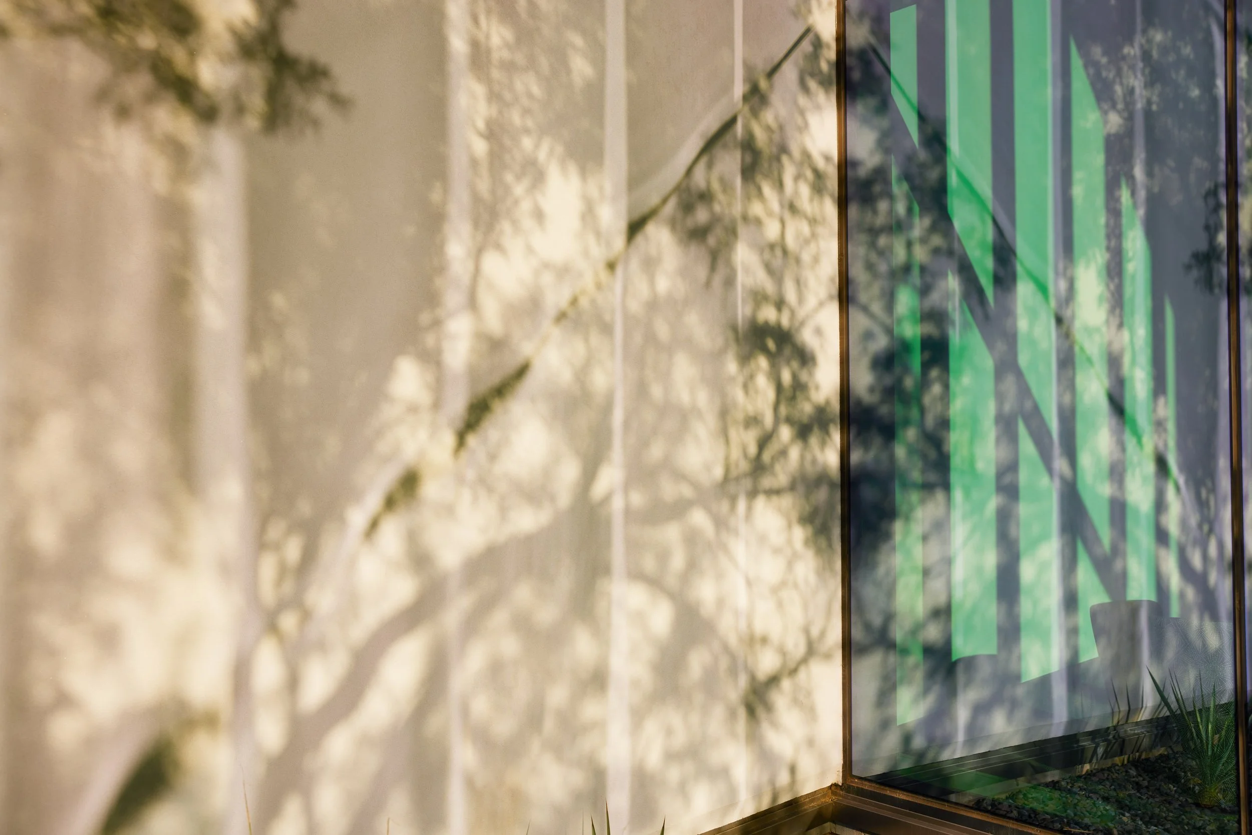 Mayo Clinic - image 5