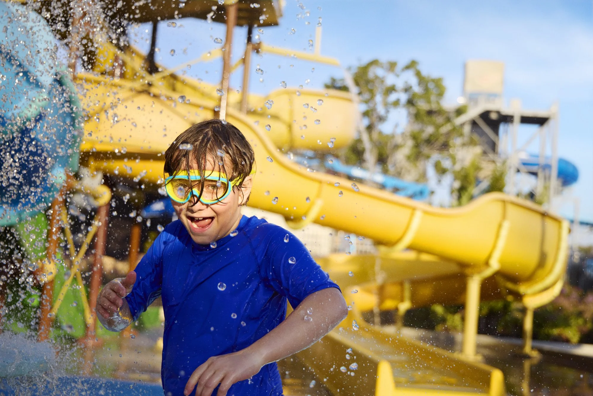 Six Flags - image 6