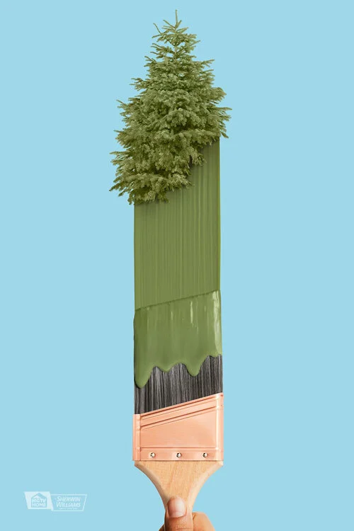 HGTV HOME™ by Sherwin-Williams - image 3
