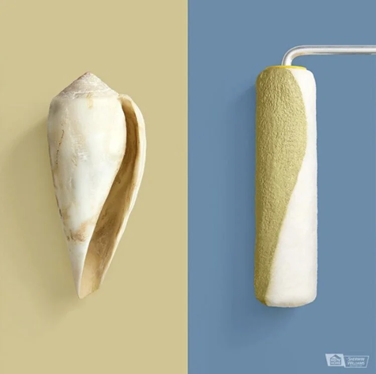 HGTV HOME™ by Sherwin-Williams - image 6