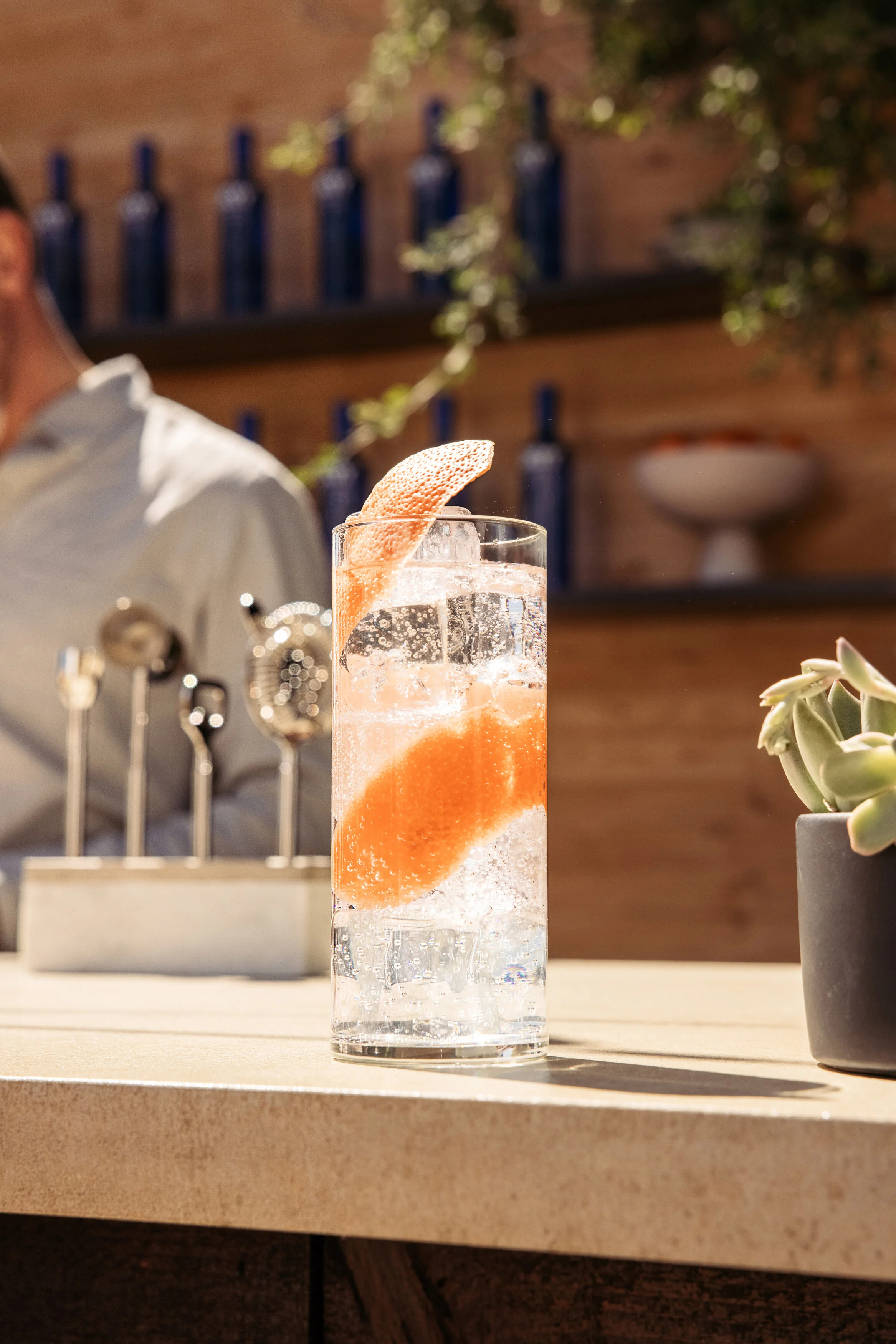 Skyy Vodka - image 8